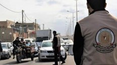 مكافحة المخدرات في رفح تضبط 36 شتلة بانجو