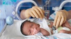 إحصائية: قطاع غزة يُسجّل 1797 مولوداً جديداً خلال شهر أبريل المنصرم