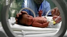 17 ألف مولود جديد بقطاع غزة خلال الربع الثالث من عام 2026