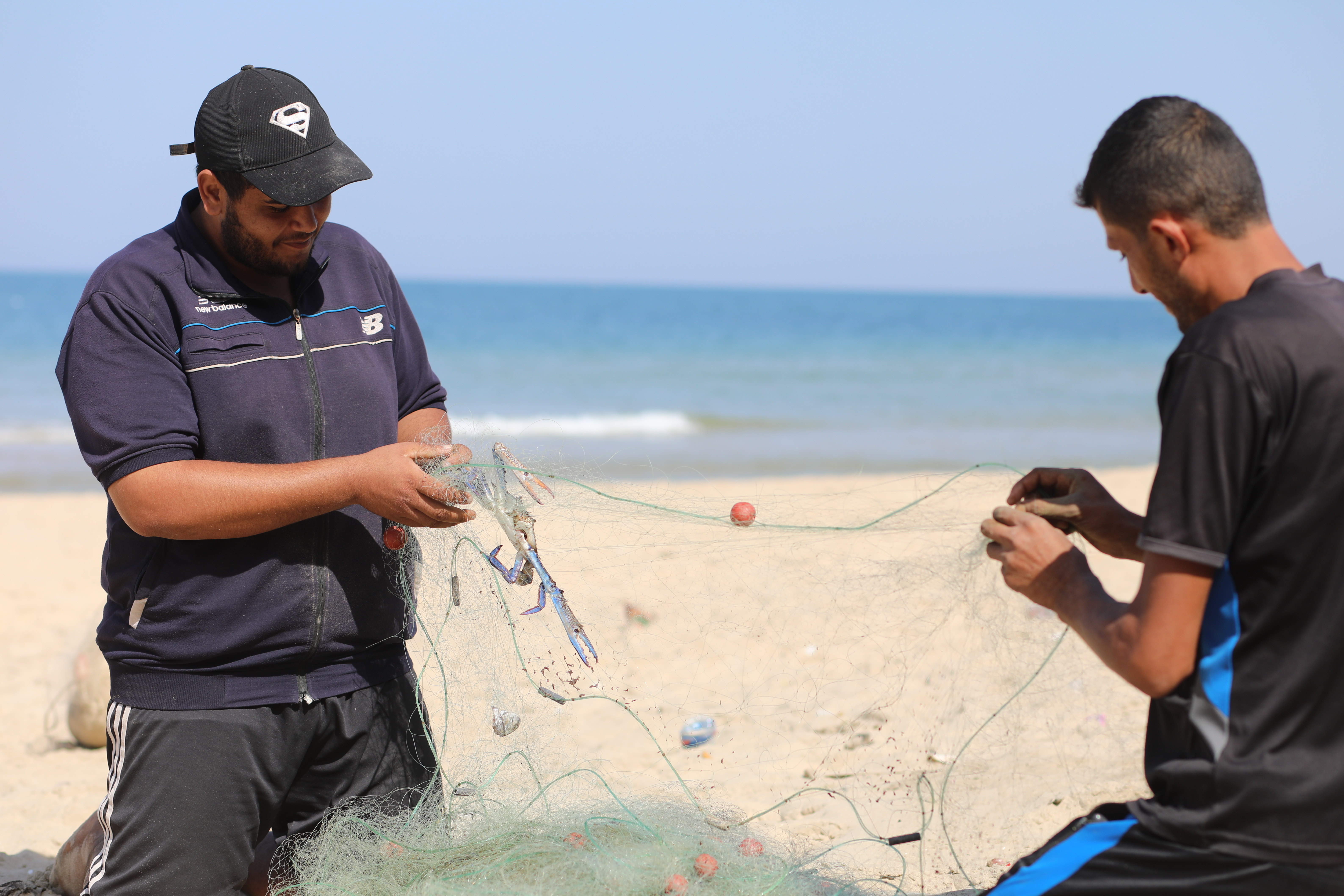 موسم صيد "سلطعون البحر" في غزة