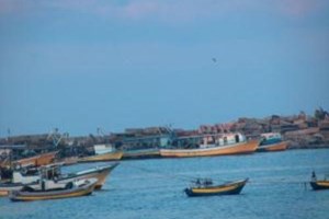 حقوق الإنسان تستنكر ممارسات الاحتلال بحق الصيادين 