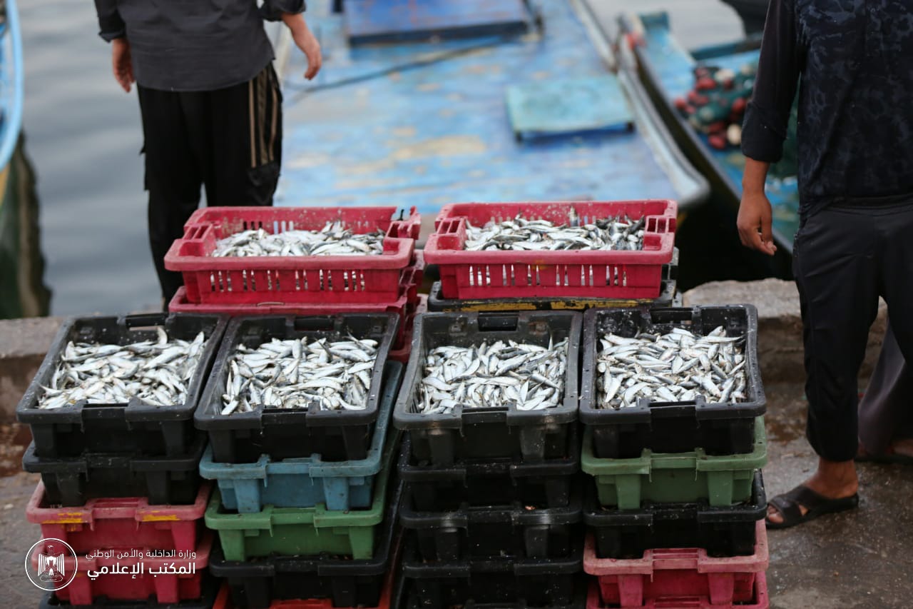 الشرطة البحرية تتابع التزام الصيادين بضوابط مزاولة الصيد في بحر غزة