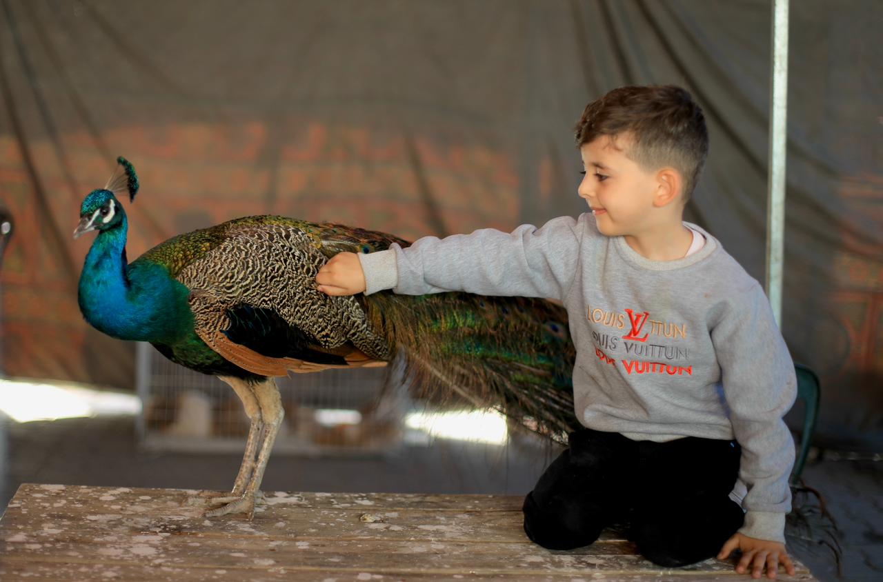 أجواء احتفال المواطنين بعيد الفطر السعيد في عدد من المناطق بقطاع غزة 2023