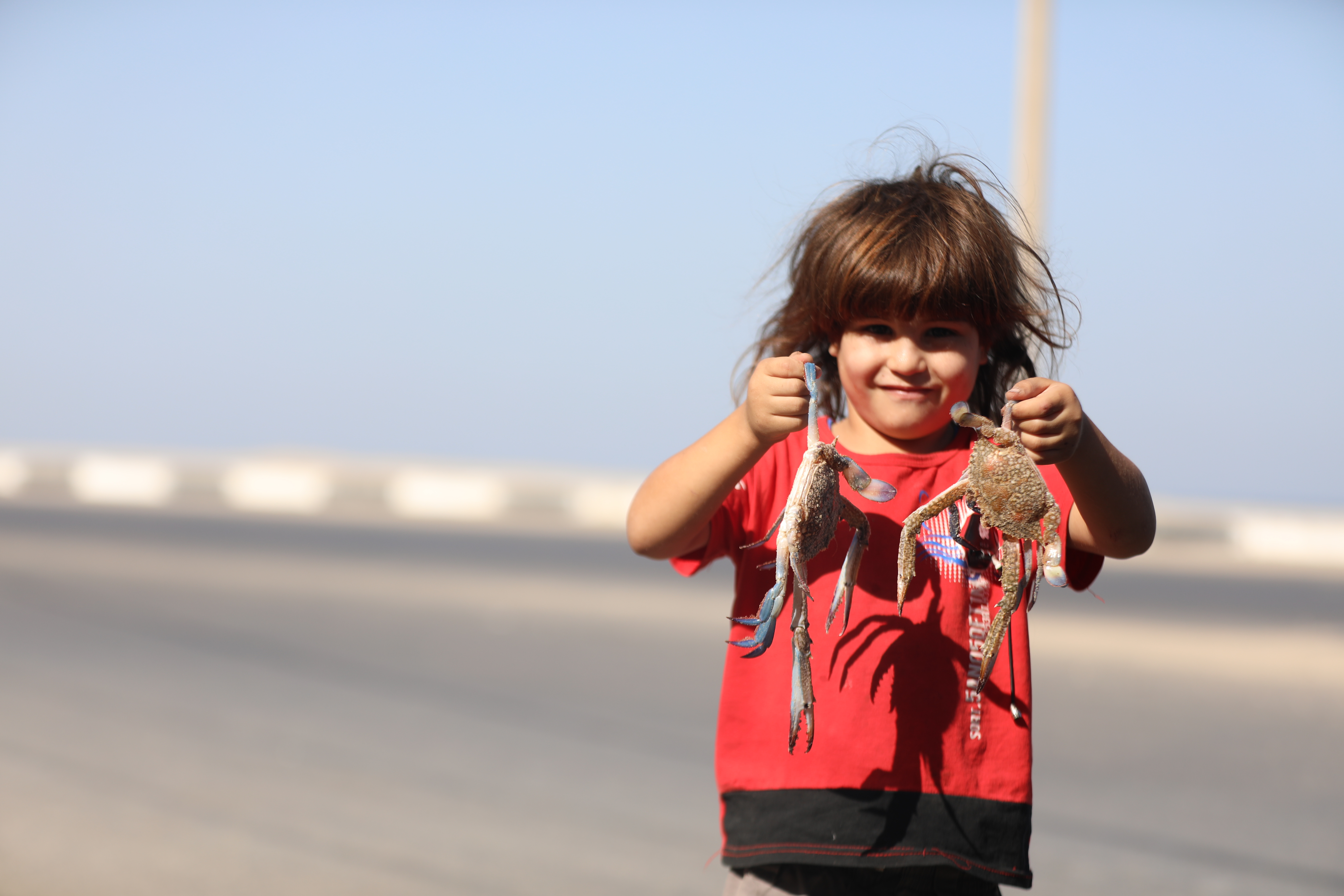 موسم صيد "سلطعون البحر" في غزة