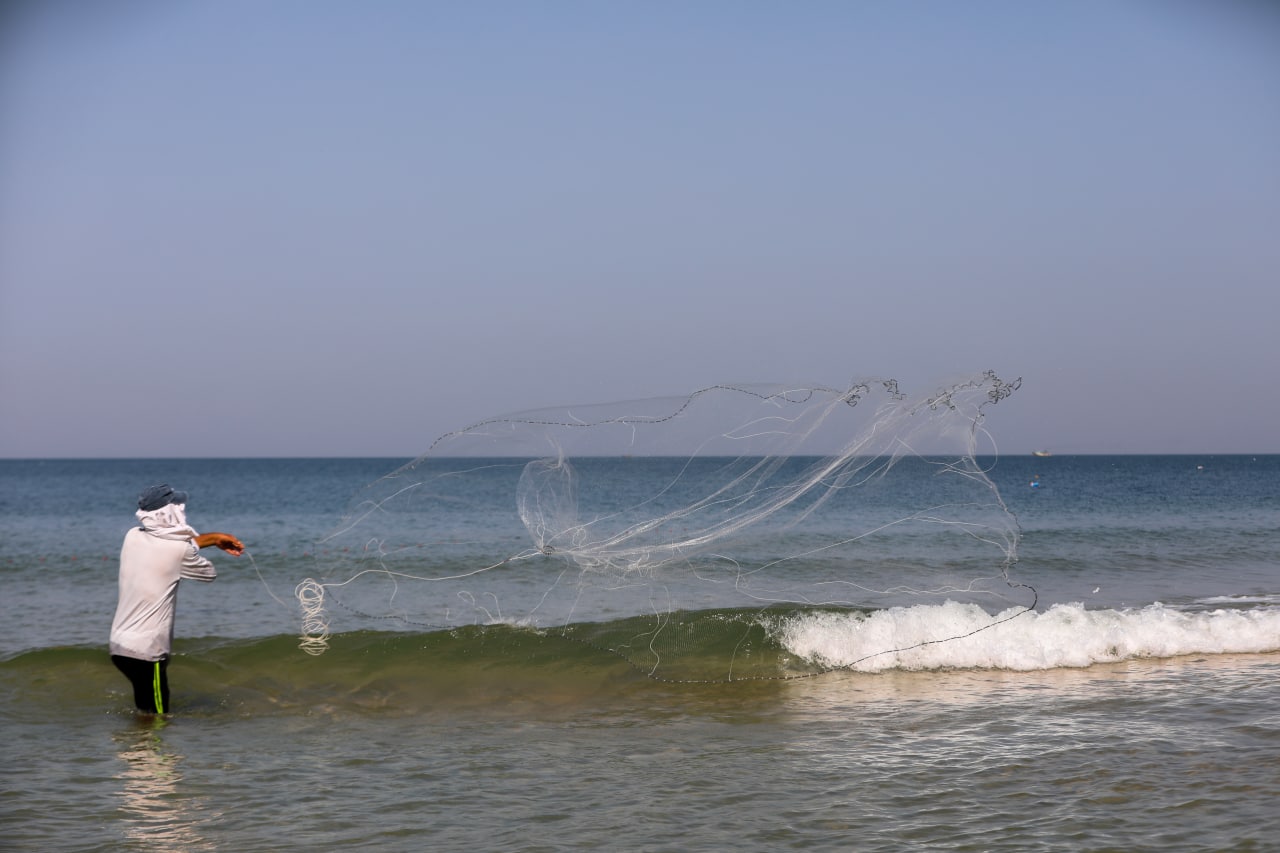 موسم صيد "سلطعون البحر" في غزة