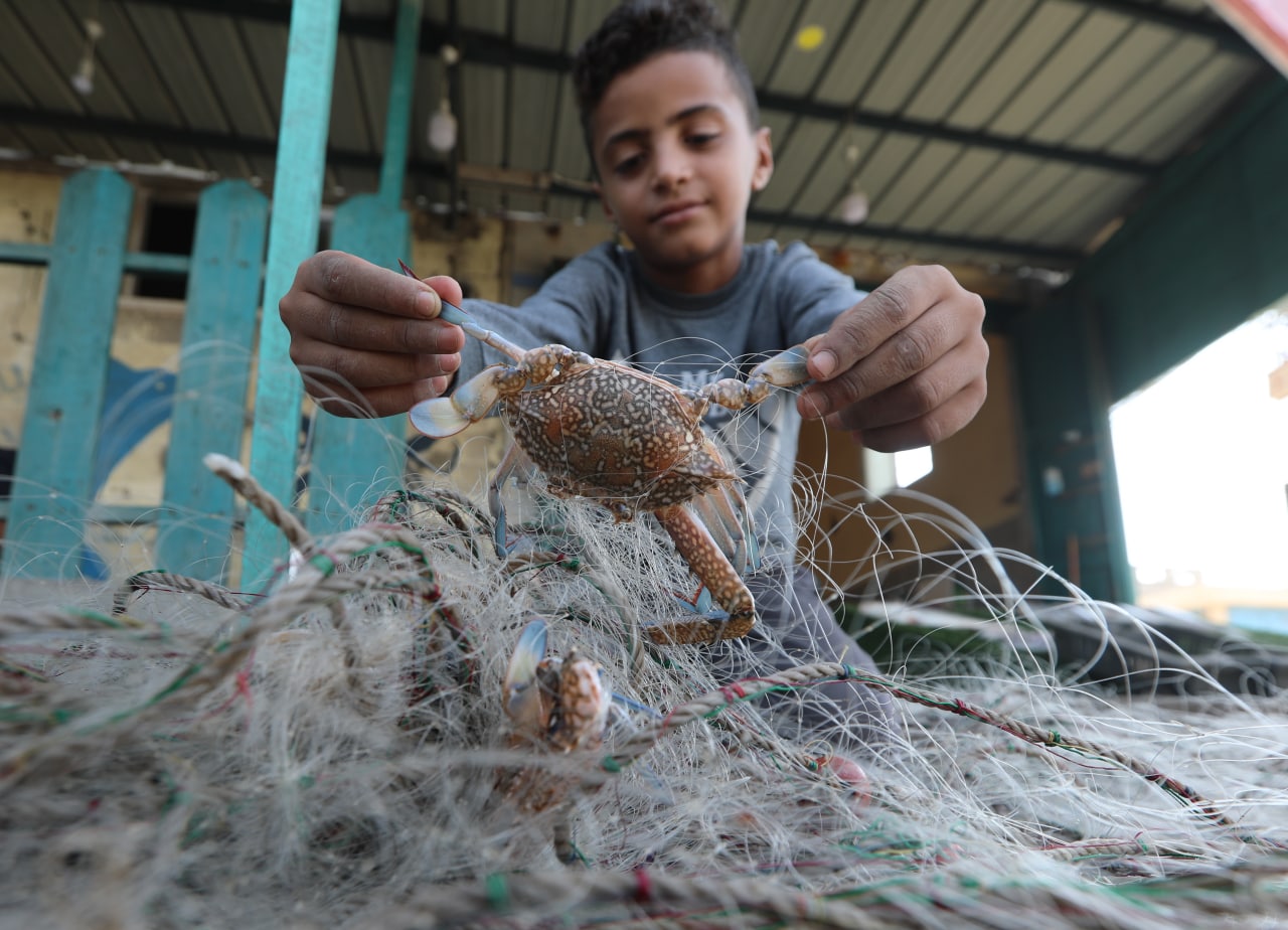 موسم صيد "سلطعون البحر" في غزة