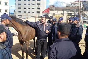 الدوريات والنجدة تختتم دورة "سياسة ركوب الخيل وبيطرتها بالأساليب الحديثة"