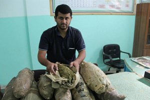 المكافحة تضبط 23 فرش حشيش برفح