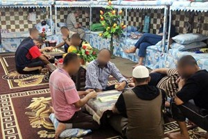 صور: ألوان وحياة تفرش الأرض والجدران لـ"النزلاء"