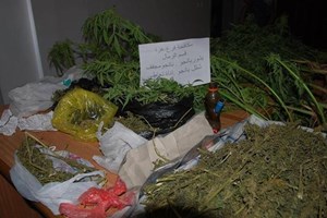 ضبط "3" كيلو بانجو منشَّف و"27" شتلة مزروعة 