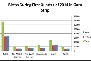 Births During First Quarter of 2014 in Gaza Strip