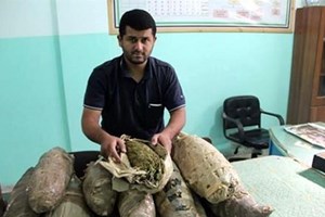 المكافحة تضبط كمية من المخدرات برفح