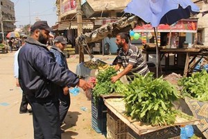 شرطة البلديات تضبط كمية من "الخوخ الفاسد" شمال غزة