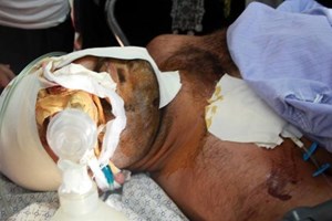 Israeli raids killed seven Palestinians 