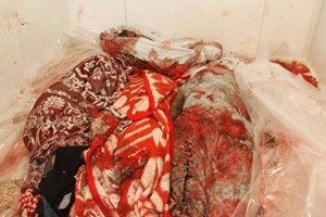 صور: أكثر من 100 شهيد .. رفح تقطر دما وسط واقع صحي مأساوي