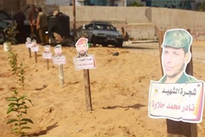 قيادة الأمن الوطني تشارك في مبادرة "شجرة شهيد"