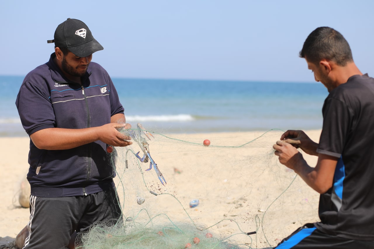 موسم صيد "سلطعون البحر" في غزة
