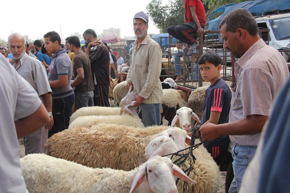  أجواء استقبال المواطنين في غزةلعيد الأضحى المبارك