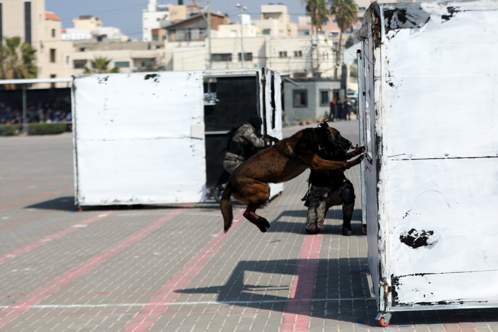 حفل تخريج مديرية التدريب فوج "درع القدس"