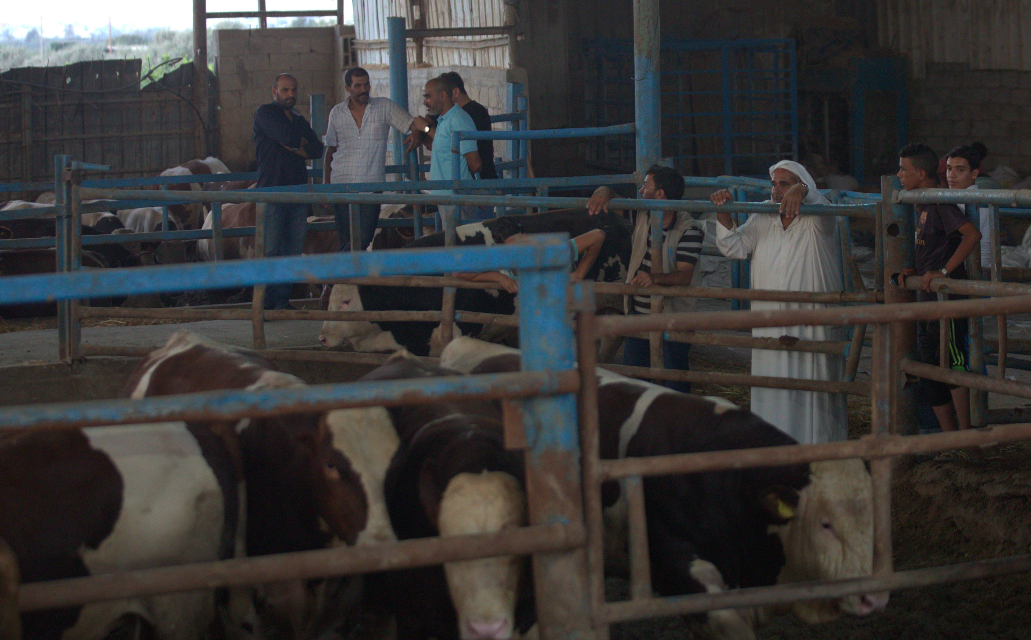  أجواء استقبال المواطنين في غزةلعيد الأضحى المبارك