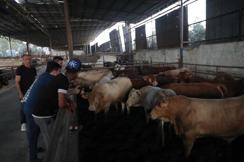 الحياة العامة في غزة عشية عيد الأضحى المبارك