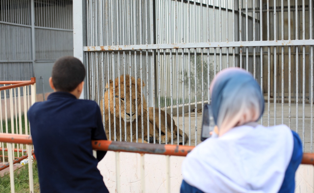 أجواء قضاء المواطنين في غزة الإجازة الأسبوعية في عدد الأماكن الترفيهية مساء الجمعة
