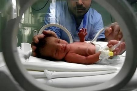 17 ألف مولود جديد بقطاع غزة خلال الربع الثالث من عام 2026