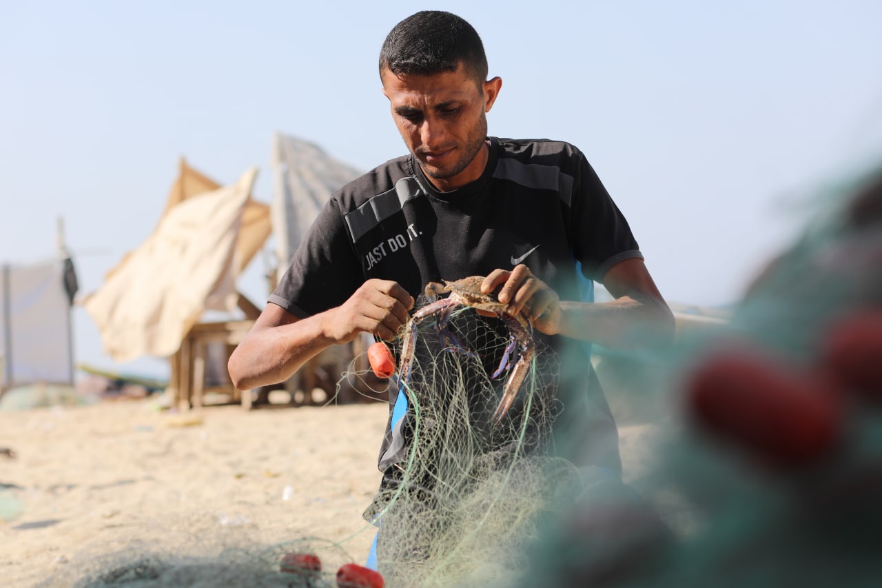 موسم صيد "سلطعون البحر" في غزة