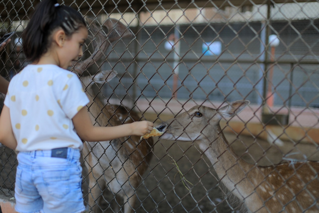 مواطنون يقضون إجازة نهاية الأسبوع في عدد من الأماكن الترفيهية بقطاع غزة