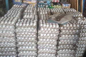 مباحث التموين بخان يونس تتلف 552 طبق بيض غير الصالح للاستهلاك