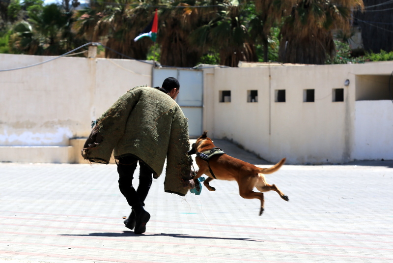 "كلية الرباط" تُخرج الفوج الثامن من بكالوريوس "القانون والشرطة"