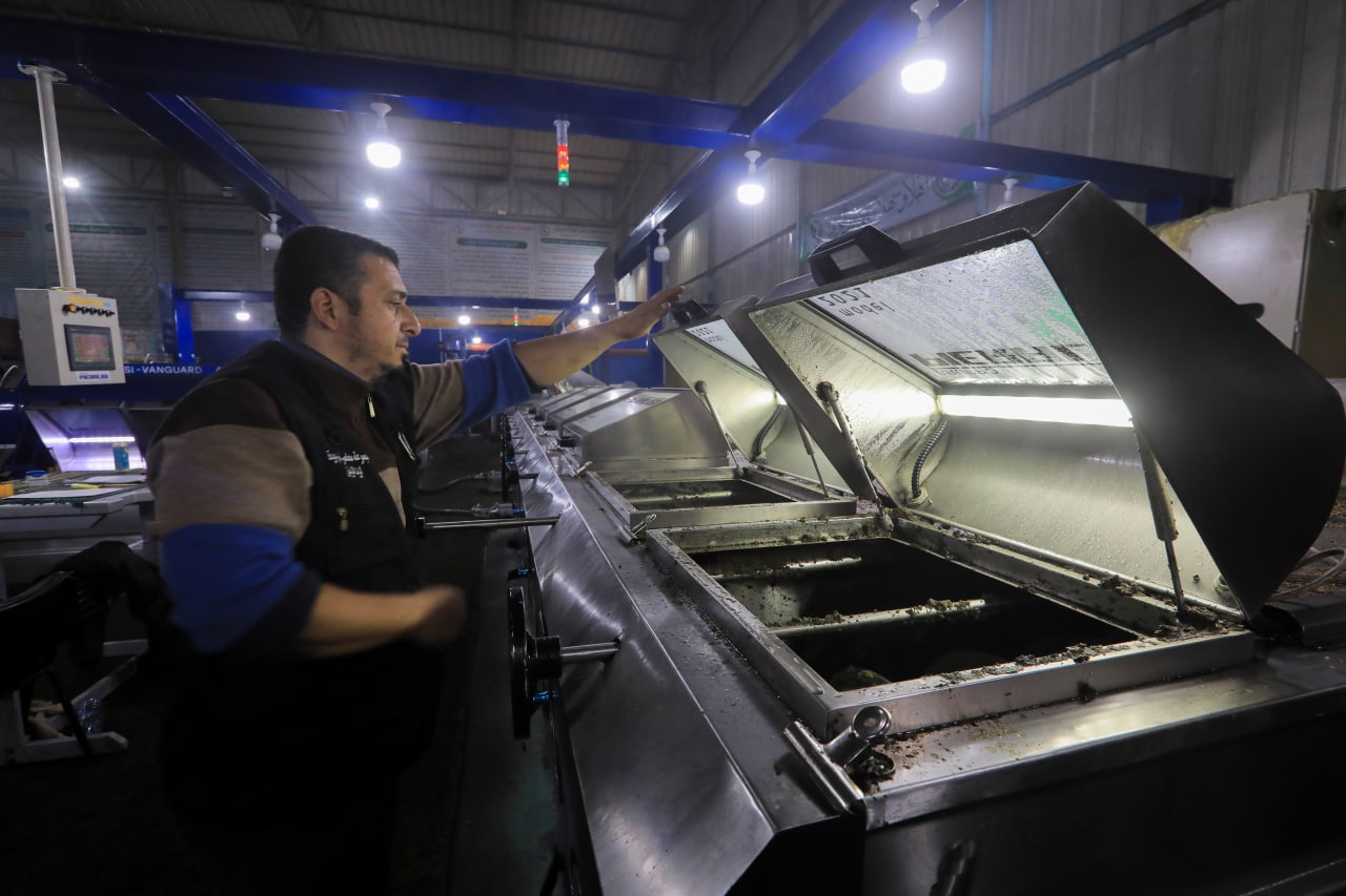 مـوسـم قـطف الزيتون في غـزة