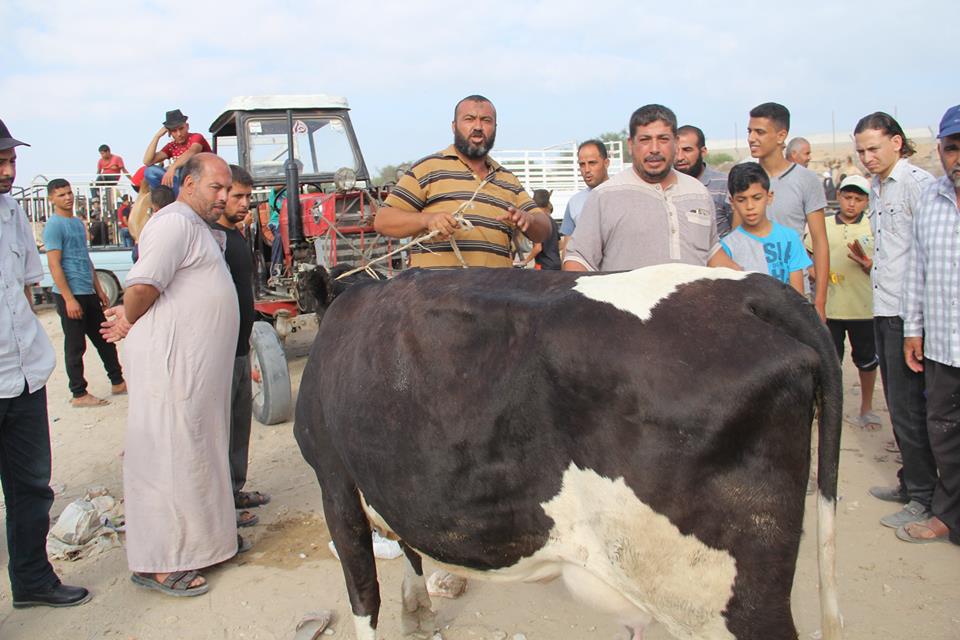  أجواء استقبال المواطنين في غزةلعيد الأضحى المبارك
