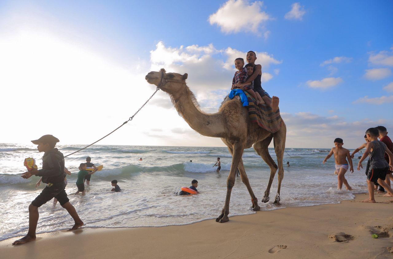 قضاء المواطنين في غزة إجازة عيد الأضحى المبارك